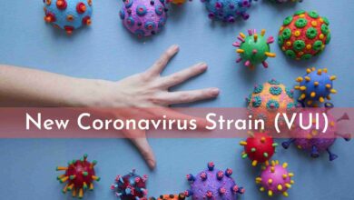 Photo of All You Should Know About New Coronavirus Strain