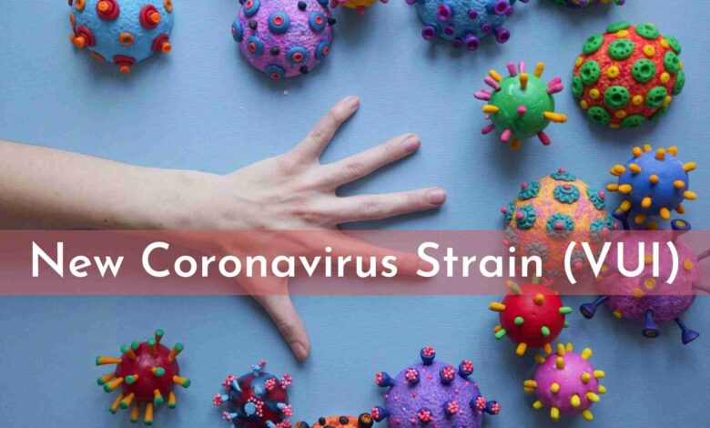 Photo of All You Should Know About New Coronavirus Strain