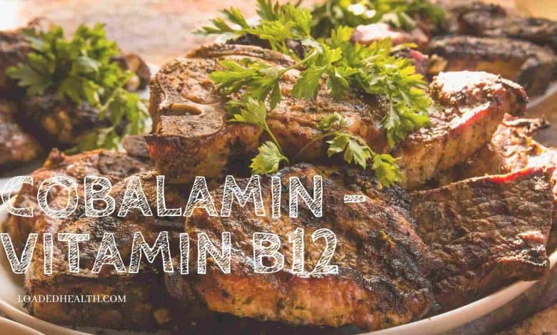 Photo of Vitamin B12 (Cobalamin) – Sources, Benefits, Deficiency, Diseases