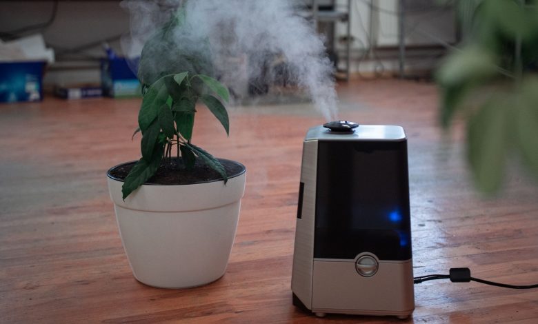 Photo of Why Air Purifiers are Beneficial to Health